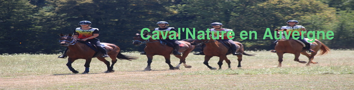 Caval'Nature en Auvergne